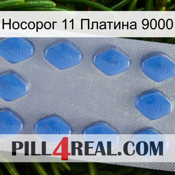 Носорог 11 Платина 9000 21.jpg